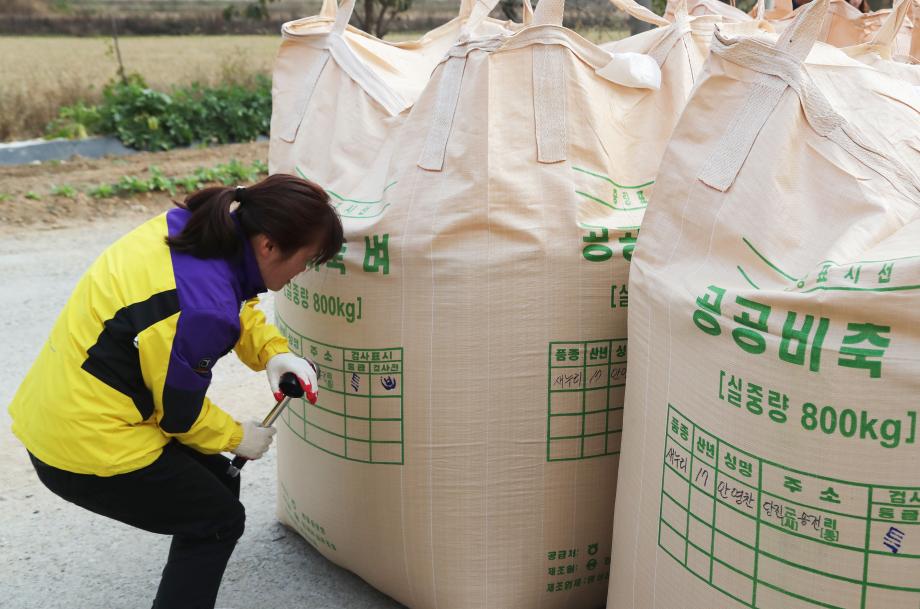 당진시, 공공비축 건조벼 수매 시작 이미지