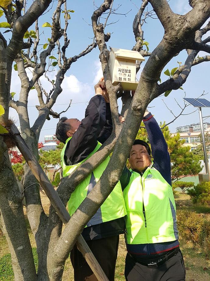 유치원에 새들의 보금자리가 생겼어요 이미지