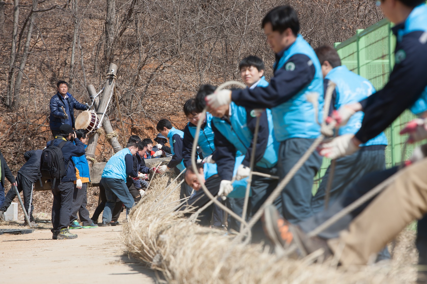 당진시, 올해 축제에 사용될 기지시줄다리기 줄 제작 대장정 돌입 이미지