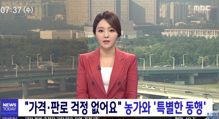 "가격·판로 걱정 없어요" 농가와 '특별한 동행'/대전MBC_6. 9.(화) 이미지