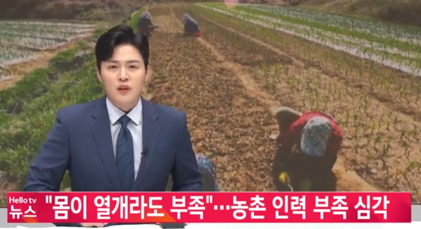 '몸이 열개라도 부족해요'   농촌 인력 부족 심각_충남방송_4. 21.(목) 이미지