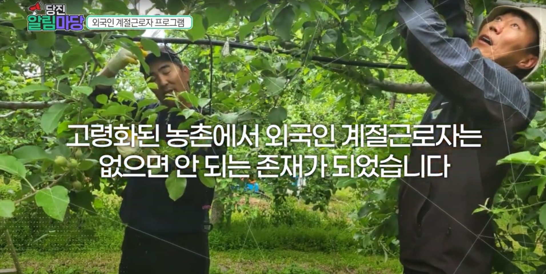 당진알림마당 21회 외국인계절근로자 프로그램 이미지