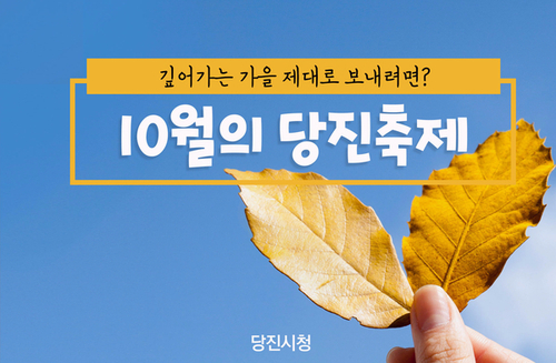 가을여행추천 / 당진국화축제/ 남이흥장군/ 걷기축제/ 당진가자! 이미지