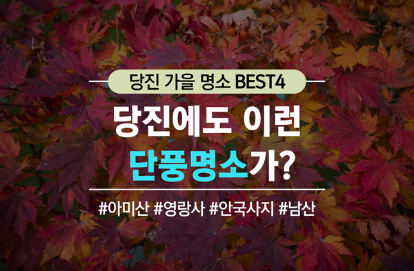 [단풍명소] 가을 당진의 단풍명소 BEST4 이미지