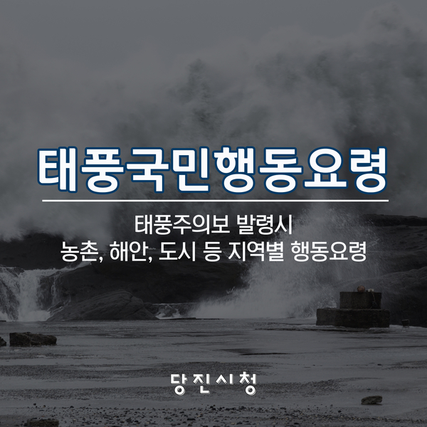 태풍솔릭 / 태풍국민행동요령 / 태풍대비 피해 최소화 이미지