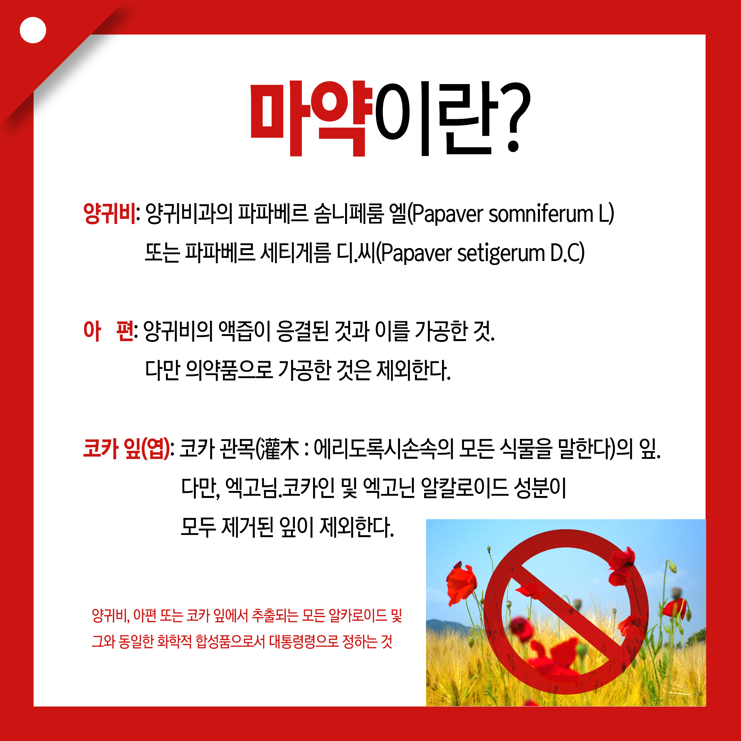 마약이란? 이미지