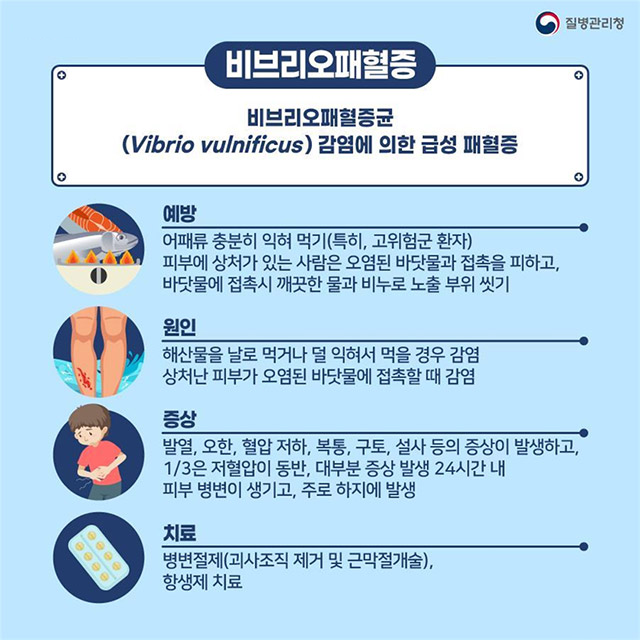 감염에 의한 비브리오패혈증, 조심하세요! 이미지