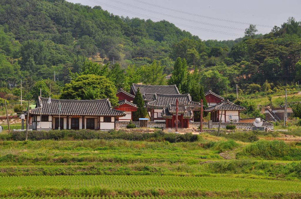 면천향교와 골정지의 여름 이미지