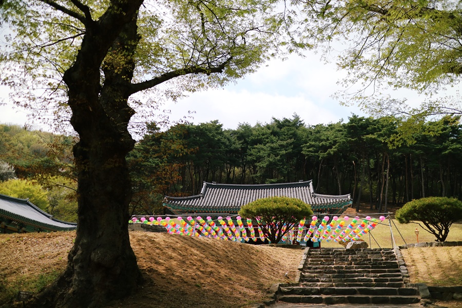 당진 영탑사로 떠나는 힐링여행, 면천 어죽 드셔보셨나요? 이미지