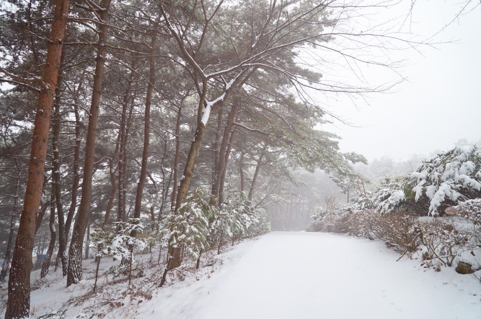 아름다운 설경이 있는 아미산 산행 이미지