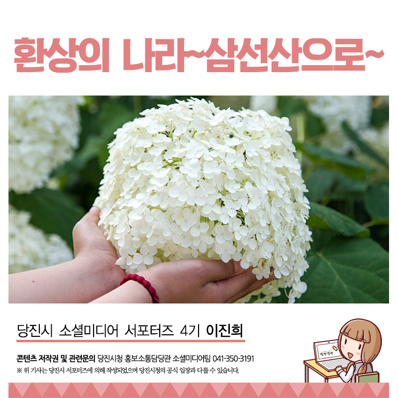 당진 아이들과 가볼 만한 곳 삼선산수목원 숲속 도서관에서 책 보며 힐링해요! 이미지