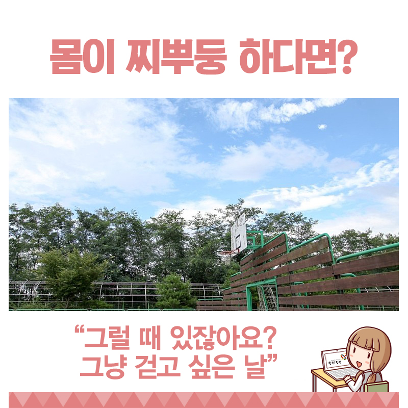 당진 둘레길 명소 대덕산 & 대덕공원 소나무 숲길을 걸어요 이미지