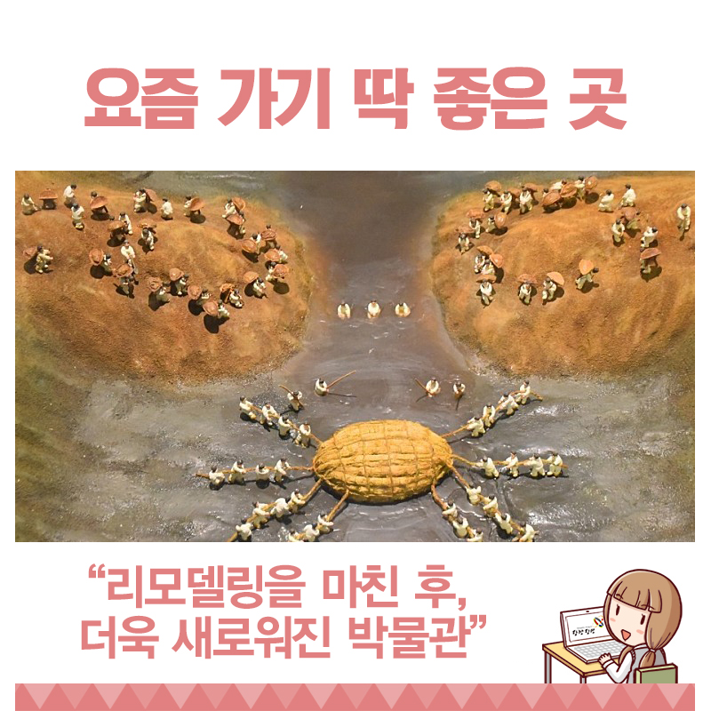 재개관한 합덕수리민속박물관과 연꽃이 가득한 합덕제 이미지