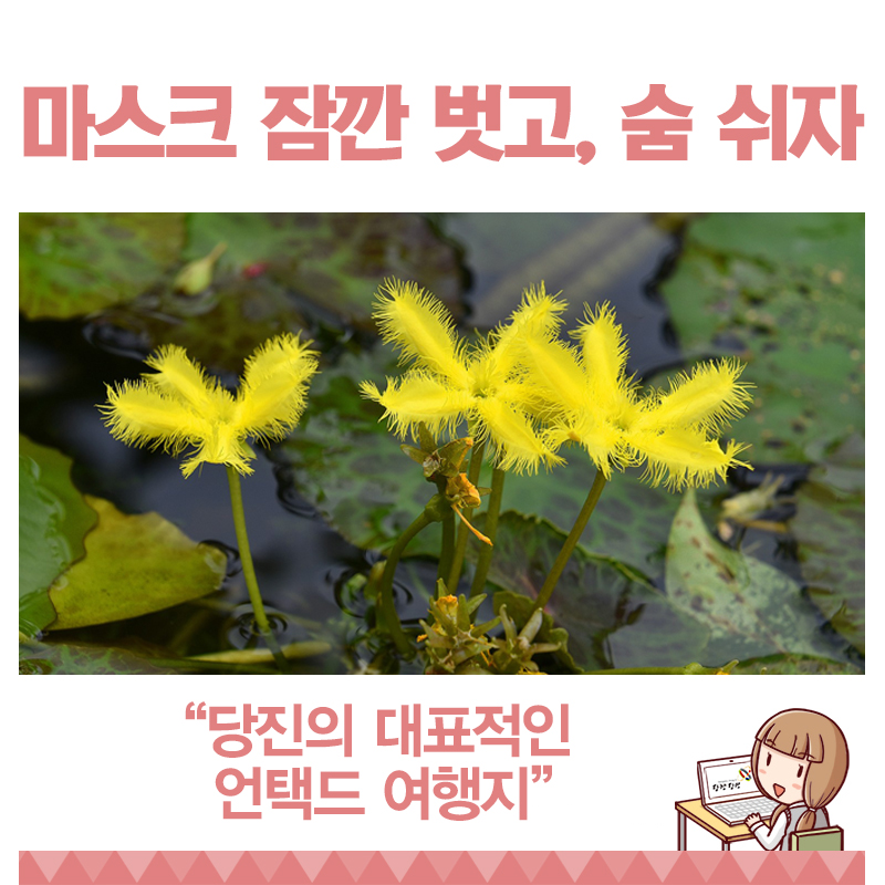 삼선산수목원의 초록빛 고운 세상 이미지