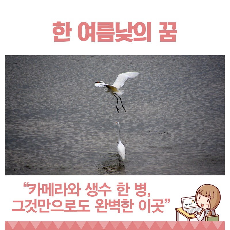 여름에 걷는 당진 바다사랑길 이미지