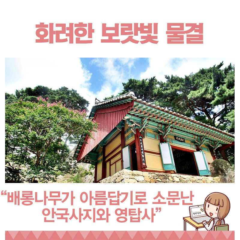 안국사지, 영탑사 두 사찰에서 만난 배롱나무 여름부터 가을을 물들이는 꽃 이미지