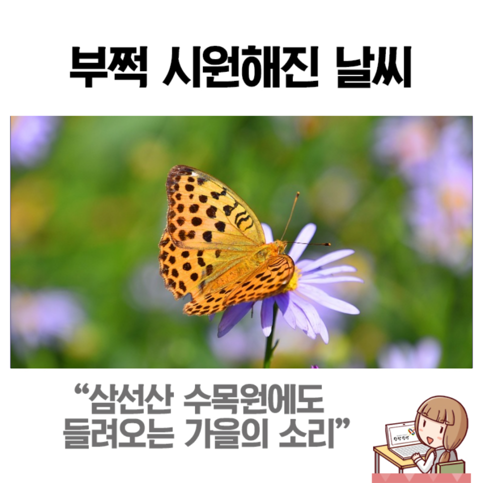 ﻿초가을에 만나는 삼선산수목원 이미지