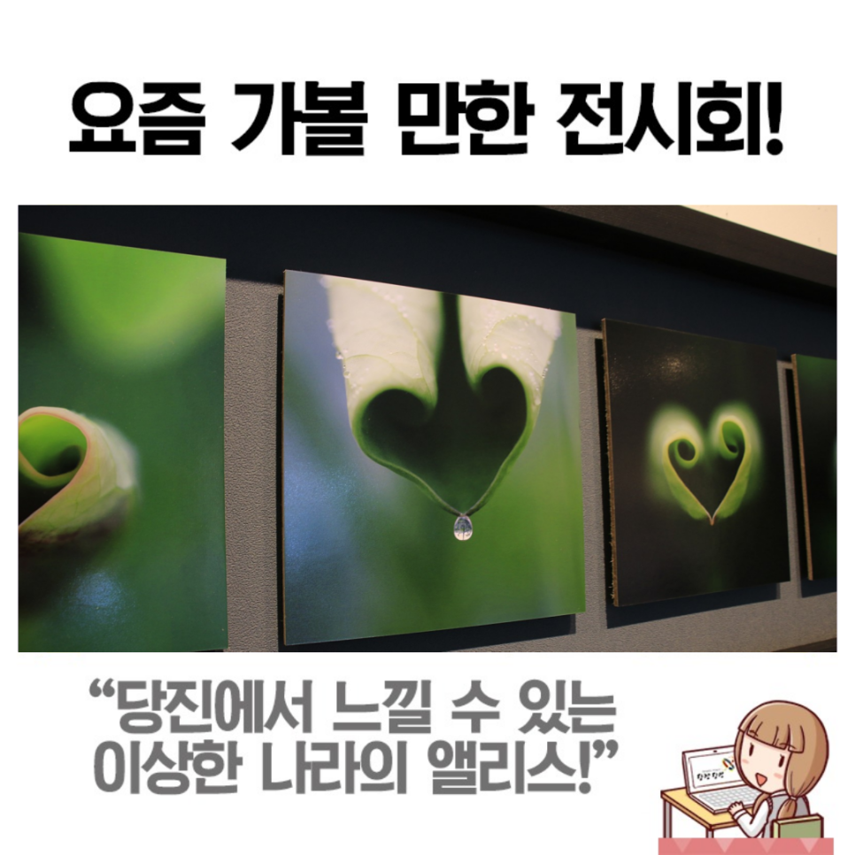 사진으로 보는 사랑의 형태 이미지