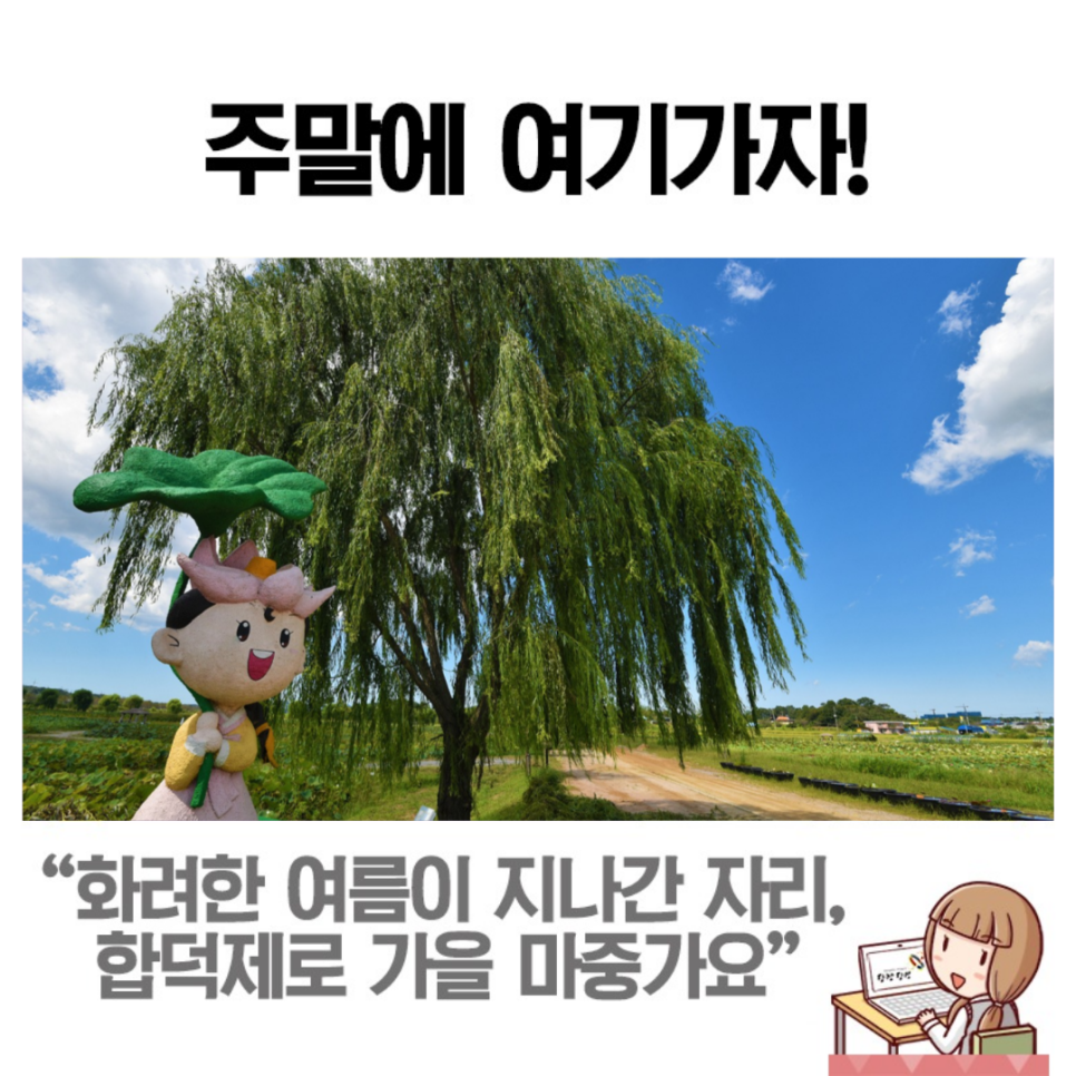 합덕제에서 만나는 가을 감성 이미지