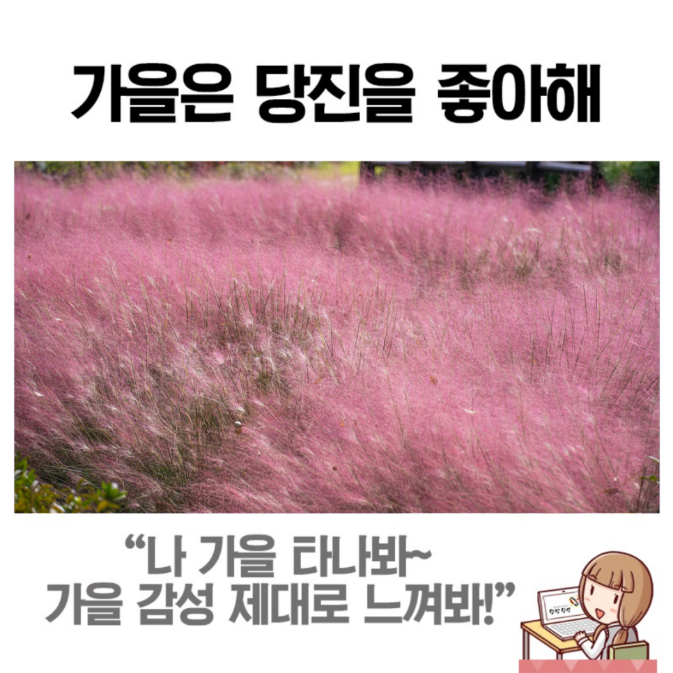 당진농업기술센터에서 만나는 가을 감성 이미지