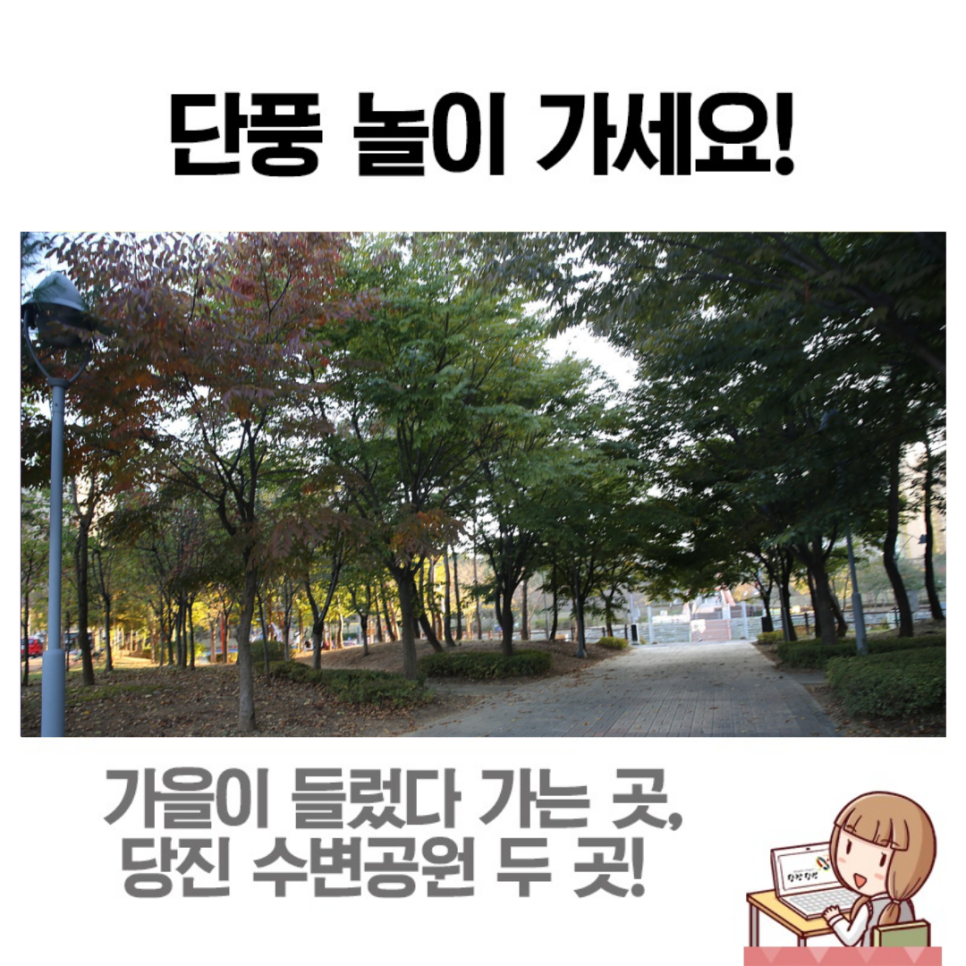 가을이 내려앉은 버들수변공원&어름수변공원 이미지