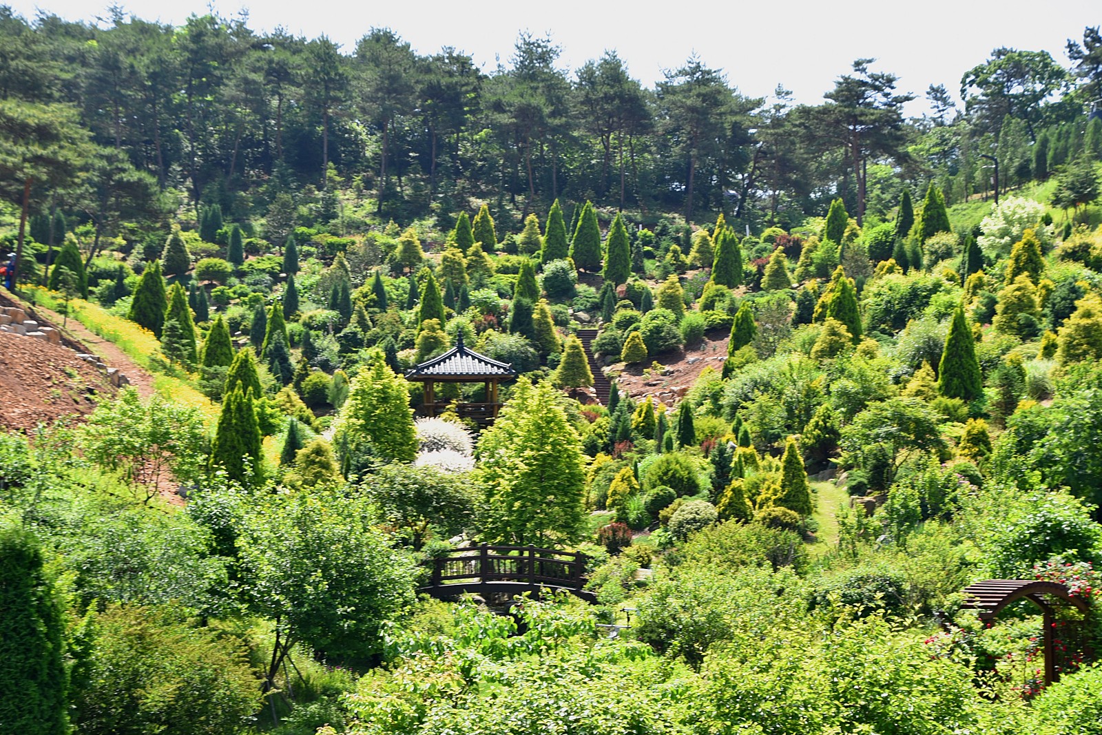 초록빛 세상을 만나요! 당진 삼선산 수목원의 초여름 이미지