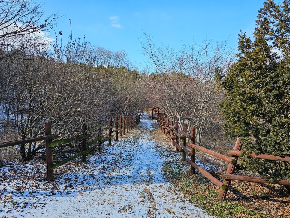 능안 생태공원의 겨울 풍경 이미지