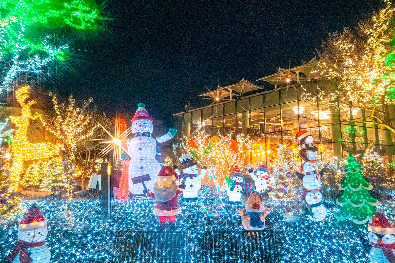 당진 가볼 만한 곳 해어름카페 아름다운 크리스마스 장식을 소개합니다. 이미지