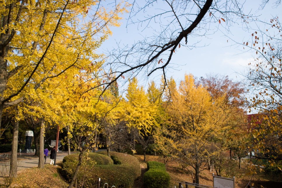 당진시 시민들의 쉼터 남산건강공원 가을풍경 이미지