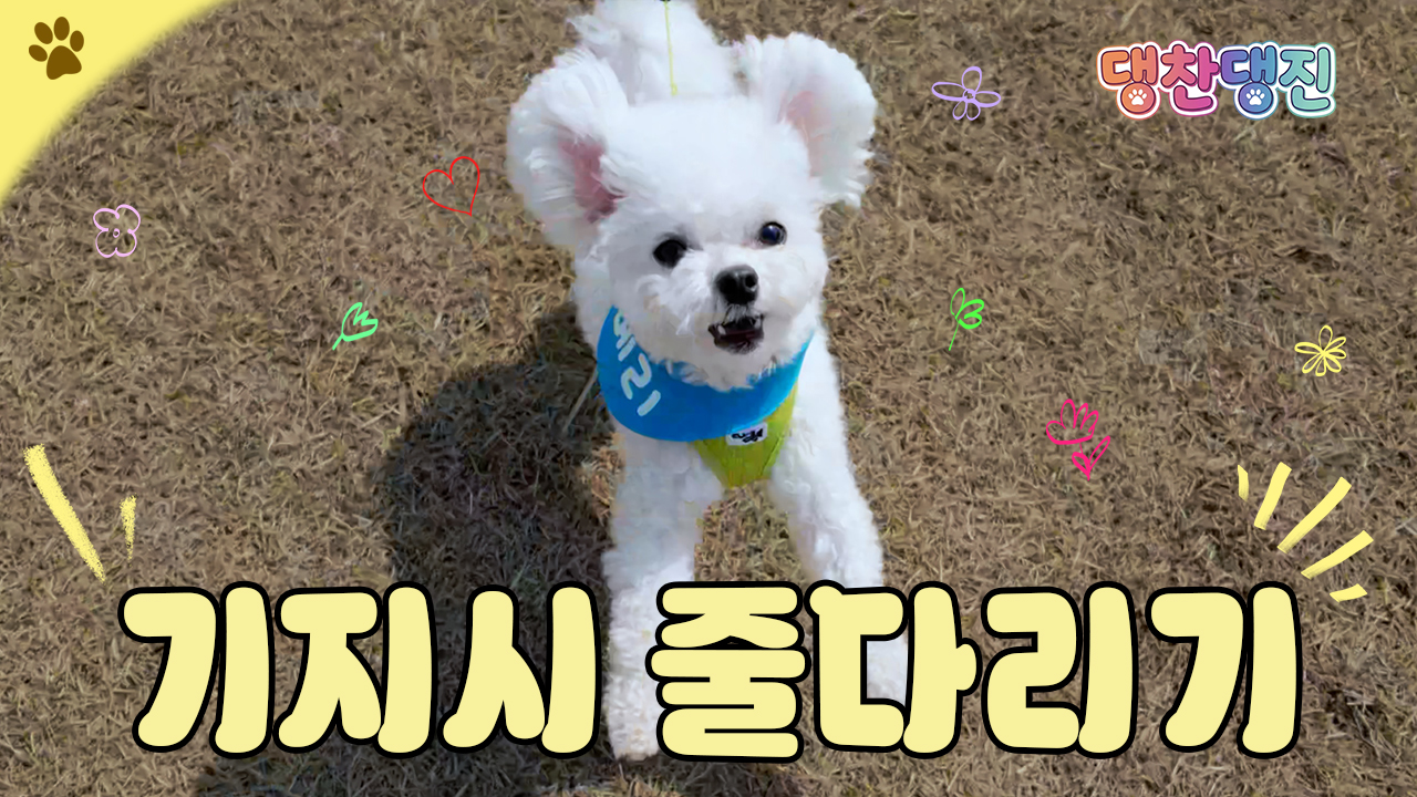 메리와 함께하는 댕찬댕진 [기지시줄다리기축제] 이미지