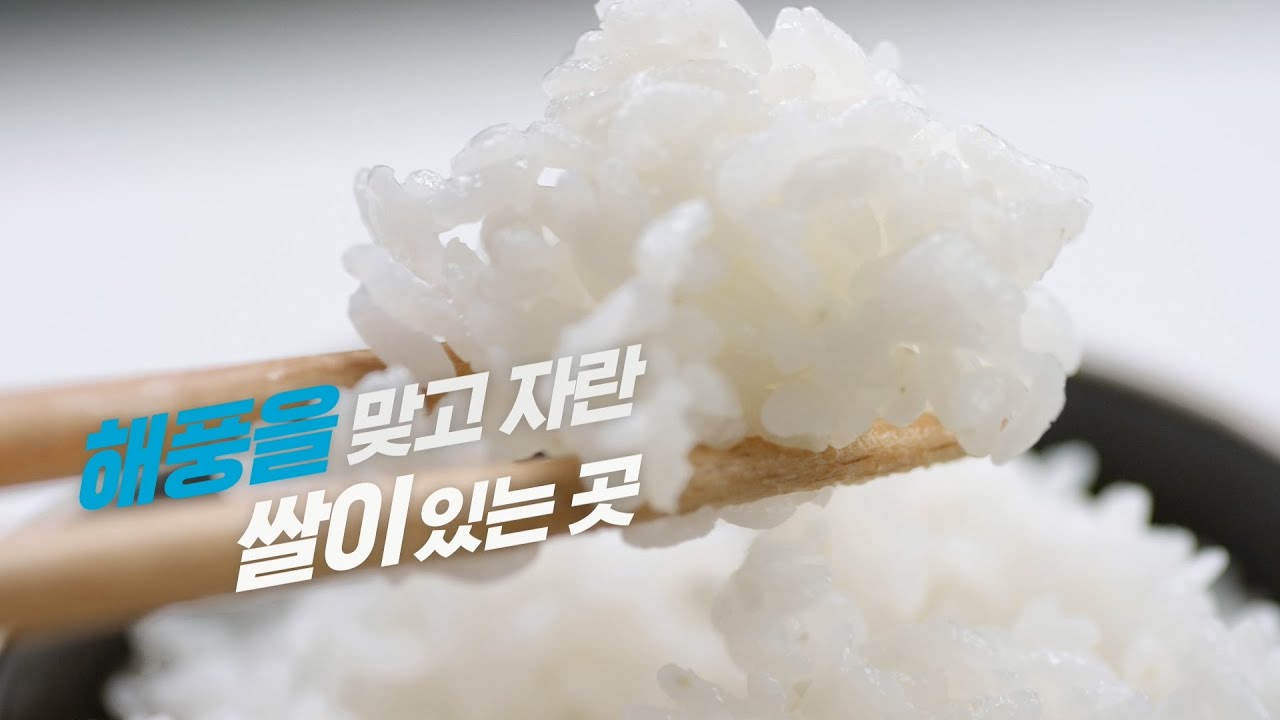 [당진에답이있당] 밥 맛없을 땐 어디로? 이미지