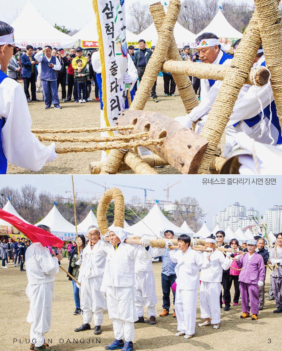 유네스코 줄다리기 시연장명 