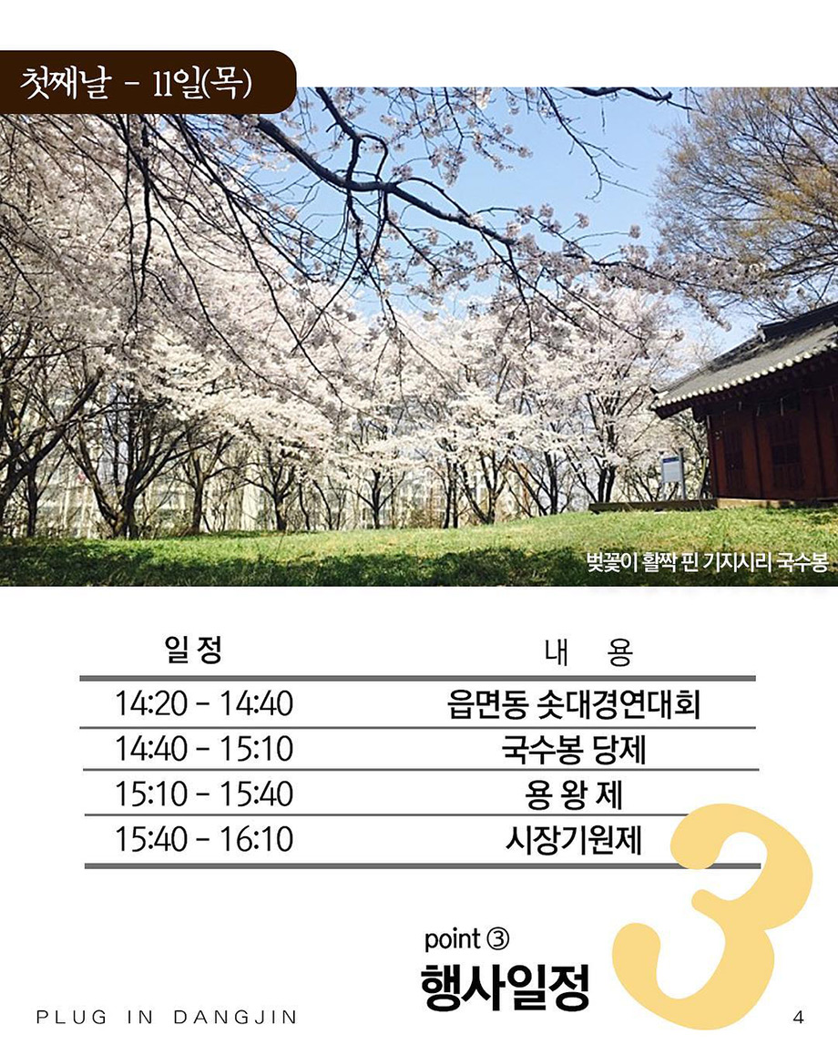 첫째날 11일 일정-14:20분부터 읍면동 솟대경연대회 국수봉 당제 용왕제 시장기원제