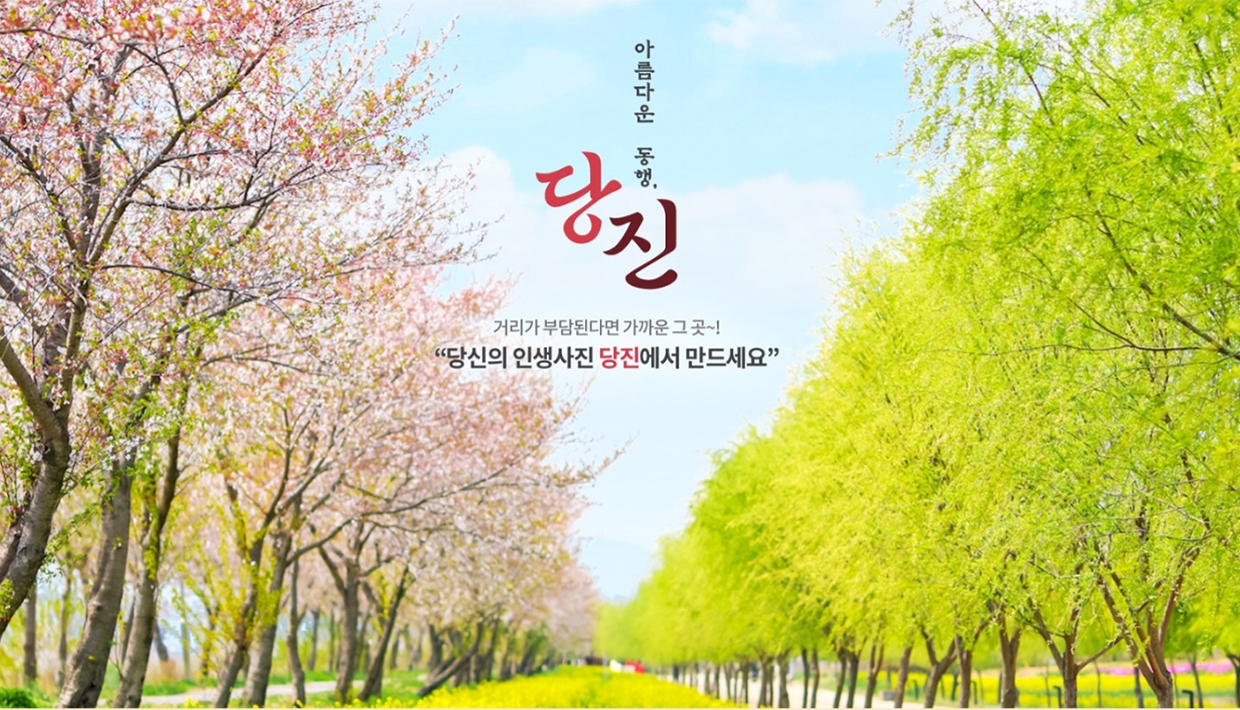 거리가 부담된다면 가까운 그 곳, 당신의 인생사진 당진에서 만드세요.
당신의 인생샷 포인트, 이달의 추천 여행 코스, 당진푸레기마을 펫키지투어, 당진 삼색주 여행