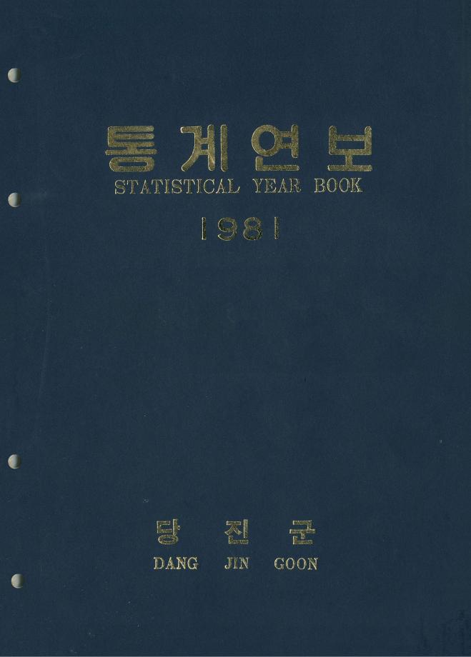 1981년 통계연보