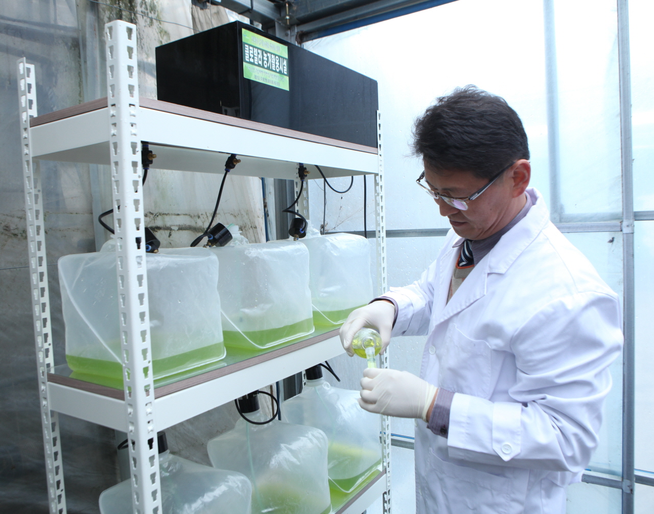 당진, 클로렐라농법으로 고품질 친환경농산물 생산 도모