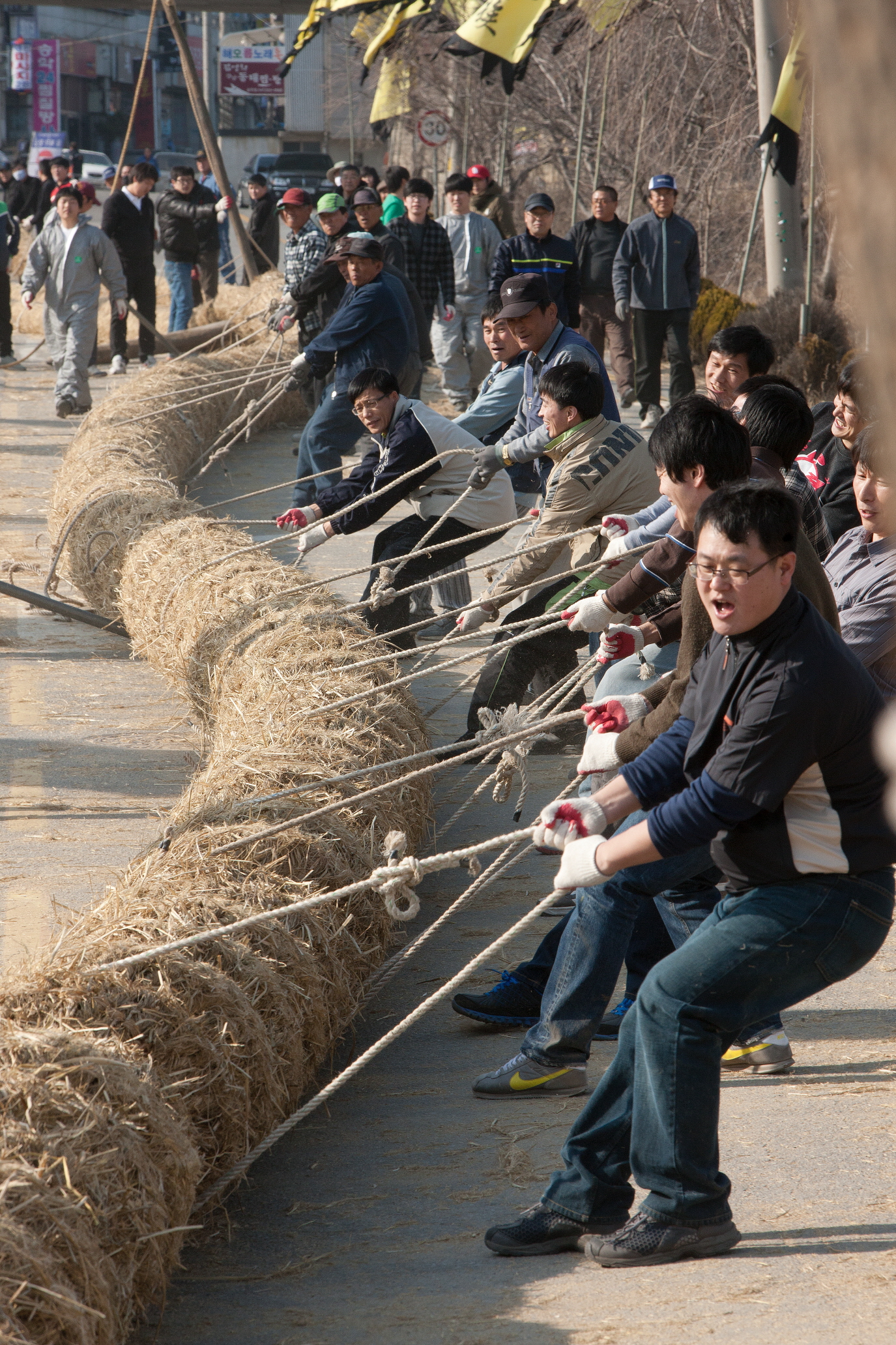 당진 기시지줄다리기 줄 제작 돌입