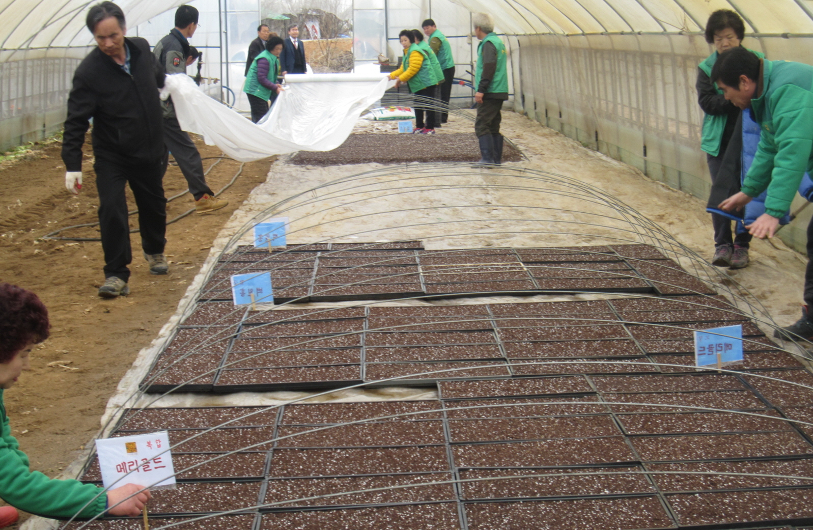 봄꽃 향기 가득한 5월의 거리를 기다리며