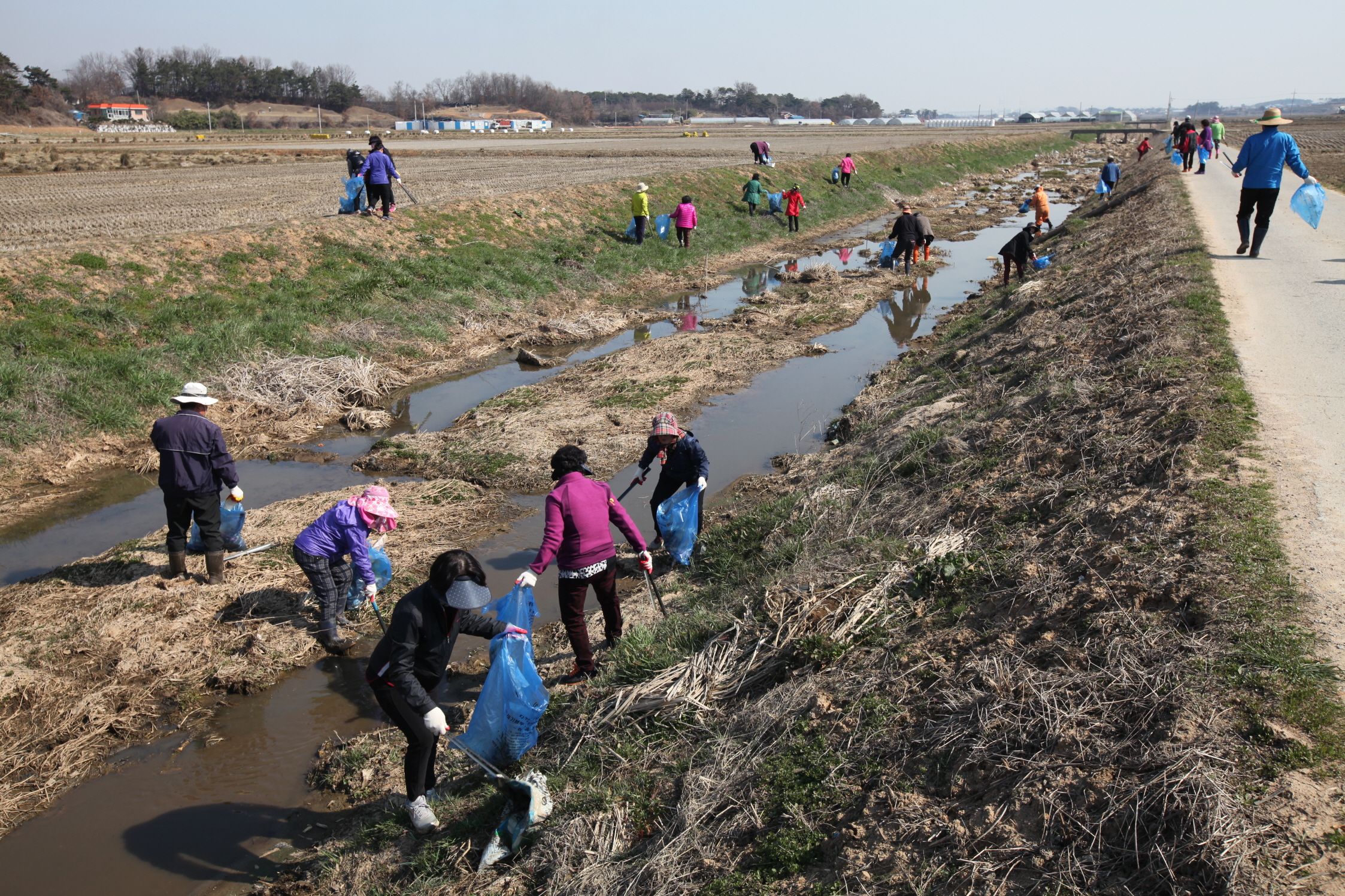 당진시, 읍면동 농촌지도자회 과제활동 한창