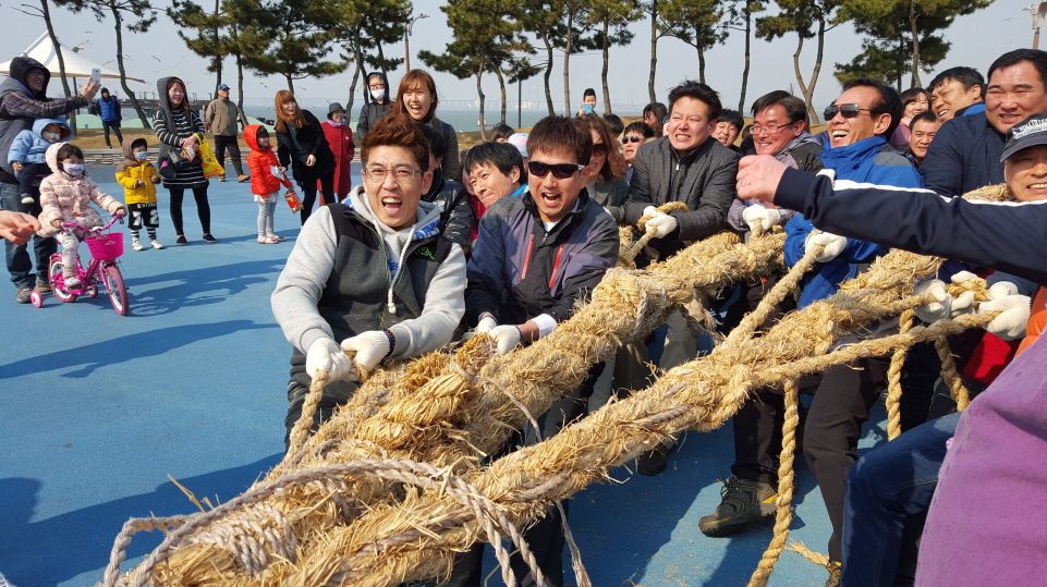 삽교호관광지에서 게릴라 줄다리기 열려