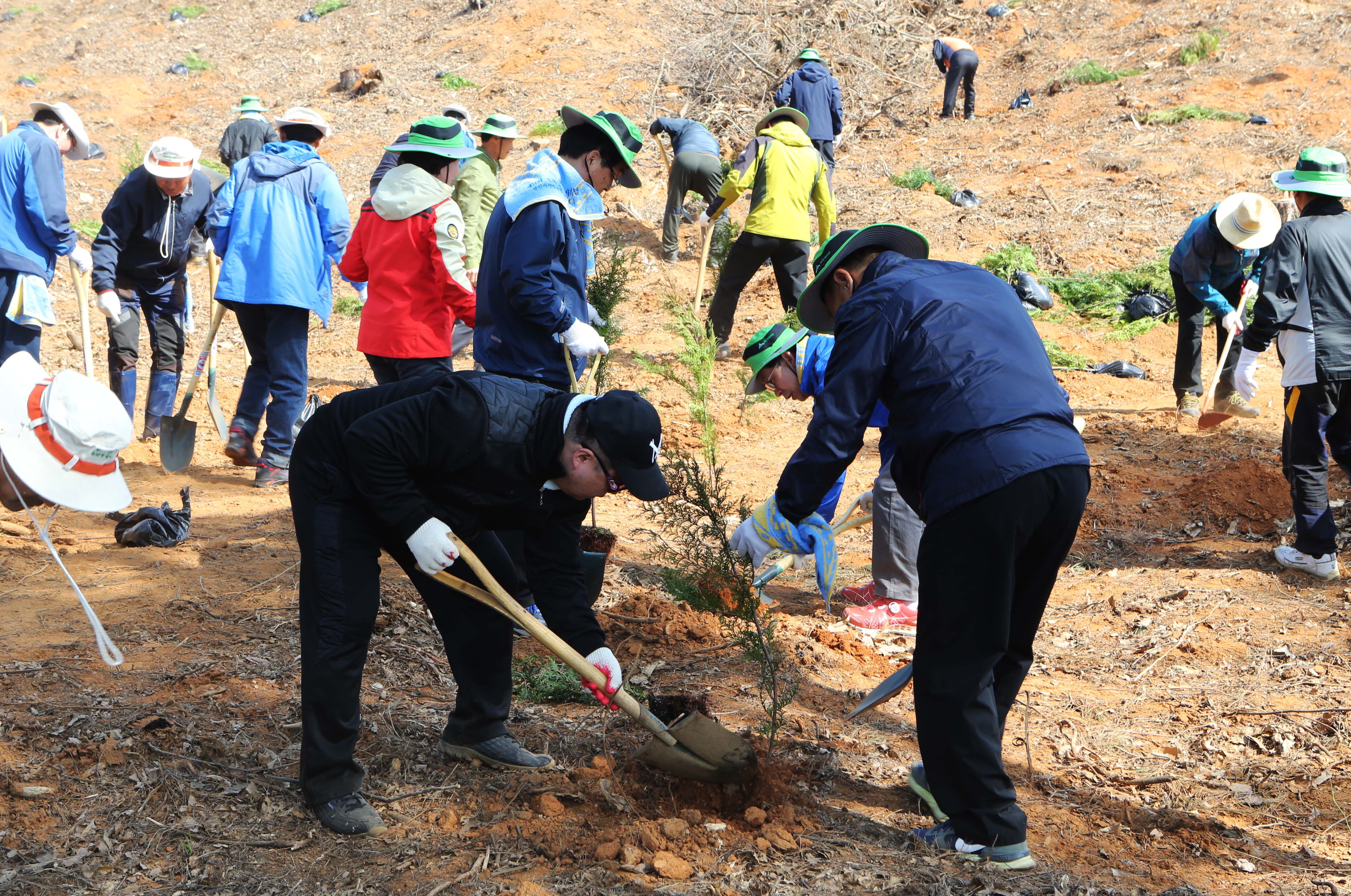 아름다운 자연 가꾸기는 나무심기부터