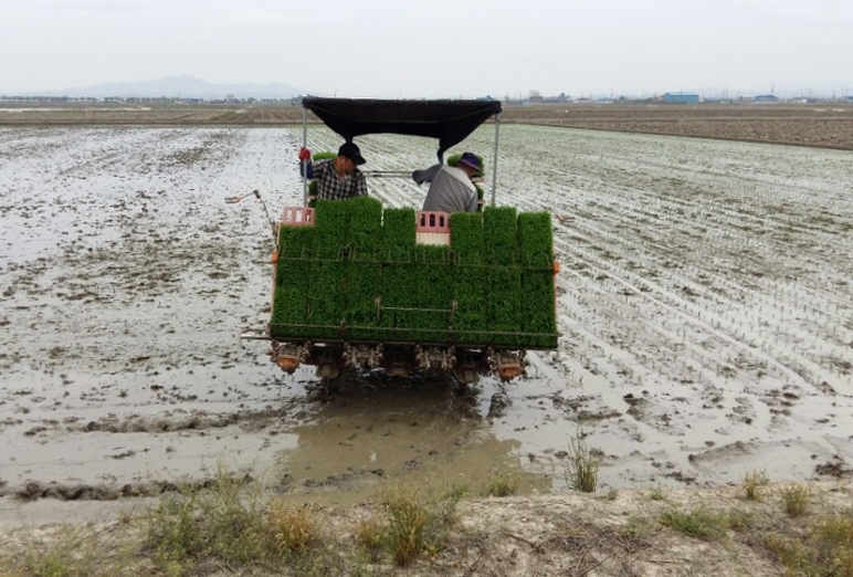 풍년 농사를 기원하며