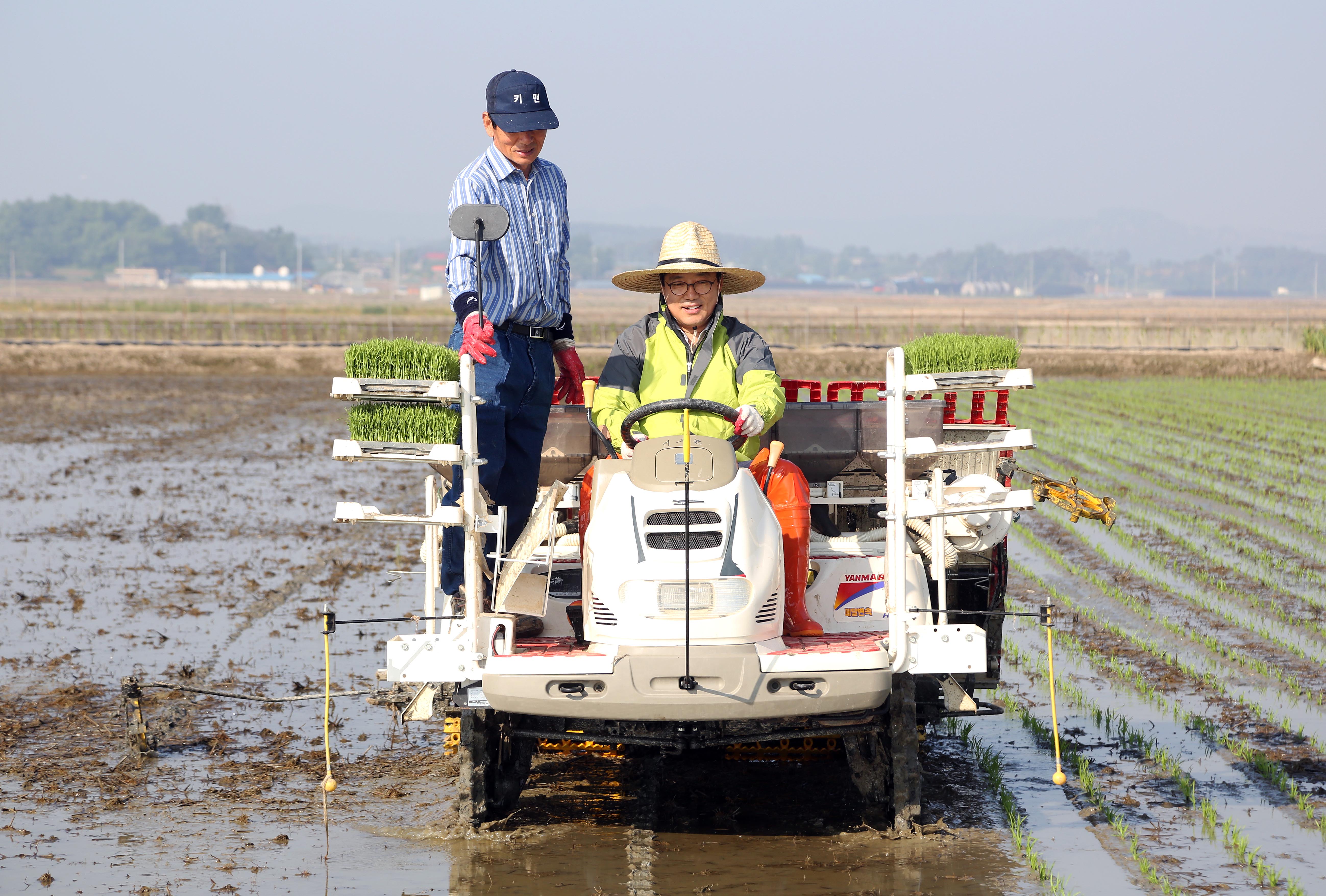 당진명품 해나루쌀 모내기 한창.. 일손돕기 지원