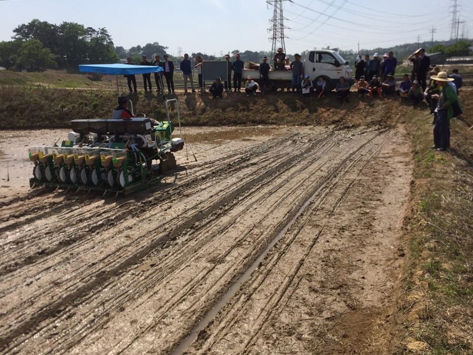 당진시, 못자리 없는 벼 직파재배 연시회 개최