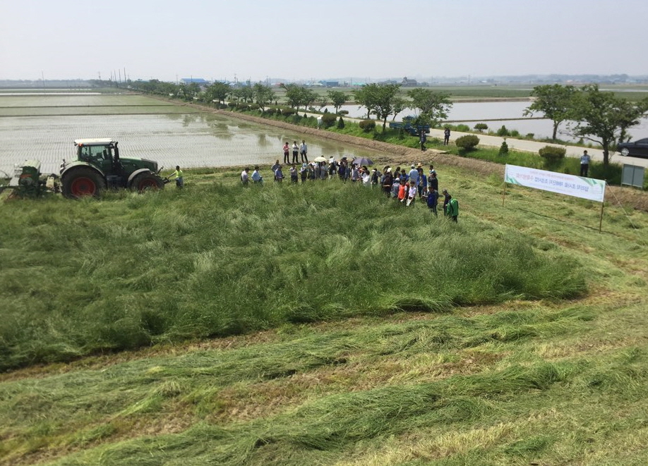 당진시, 답리작 조사료 평가회 가져