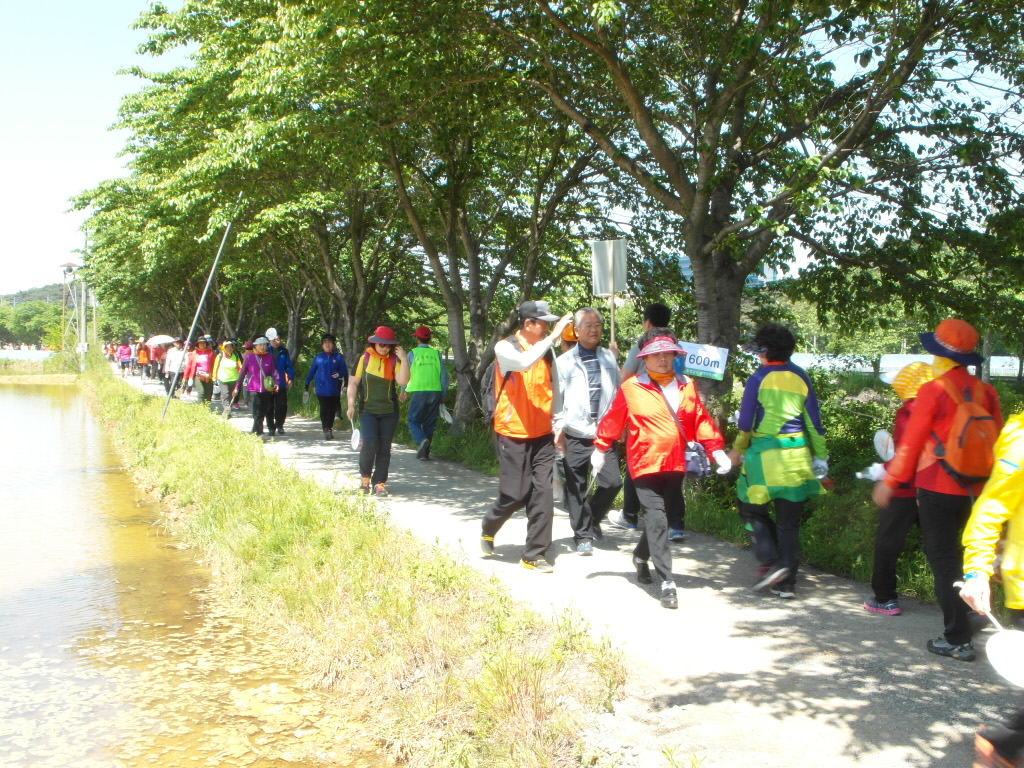걷기 실천으로 건강 챙기는 당진시민 증가