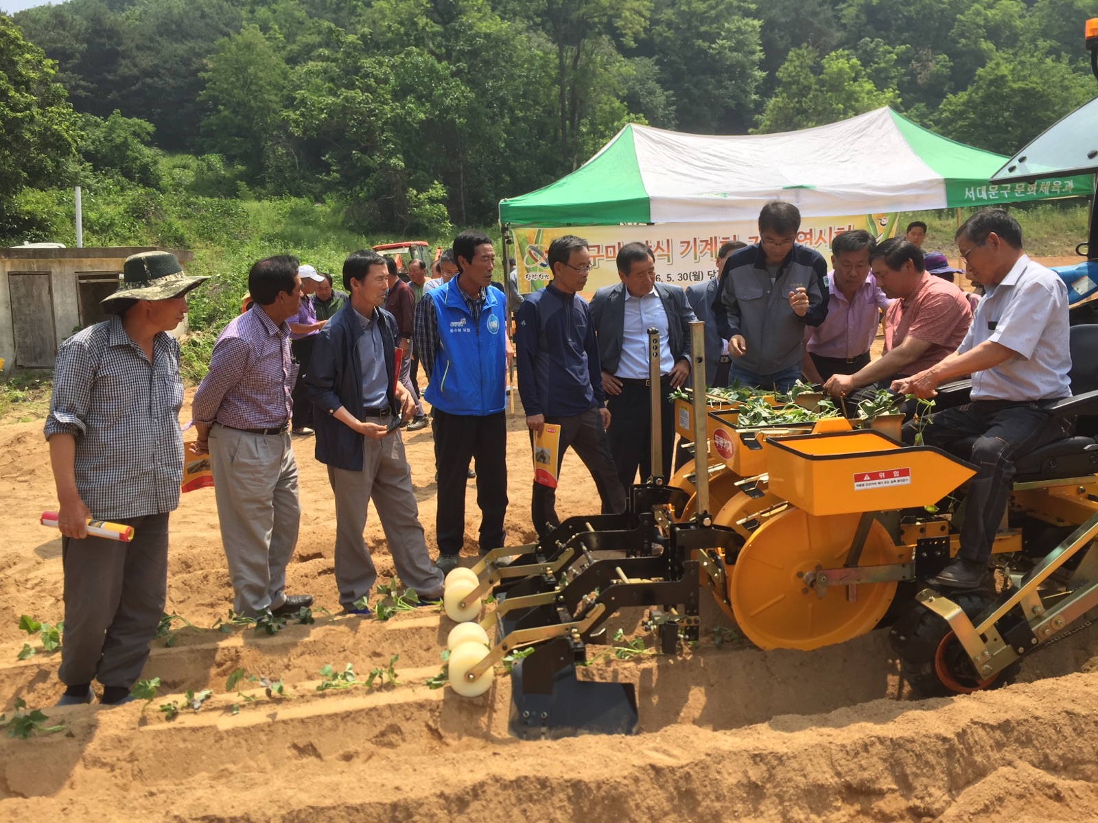 고구마 농사 힘 안들이고 쉽게 짓는다