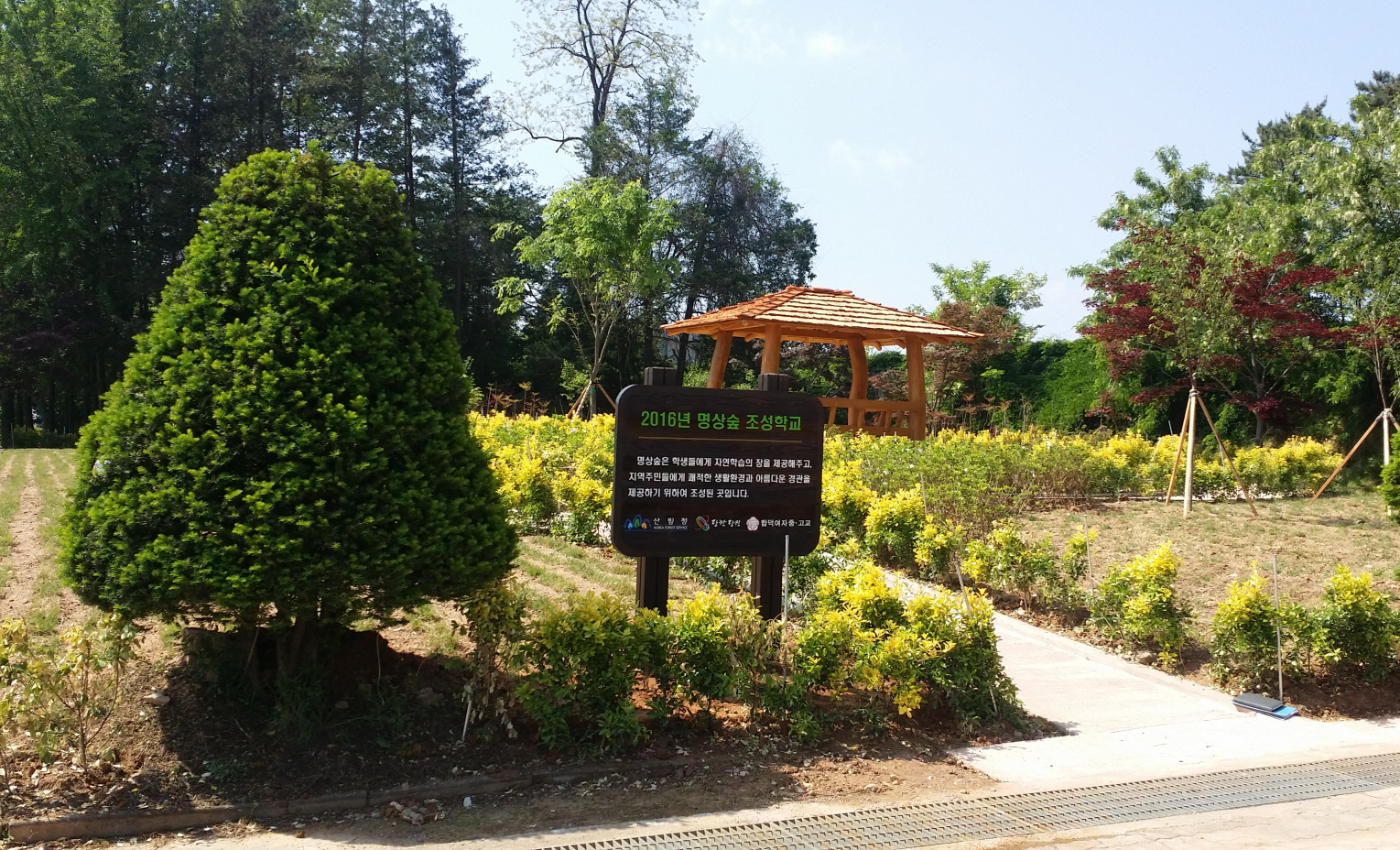 당진시, 학생 위한 녹색쉼터 명상숲 조성