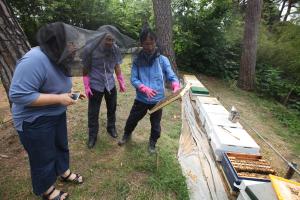 당진시, 정부장려품종 1호“장원벌 계통증식”성공