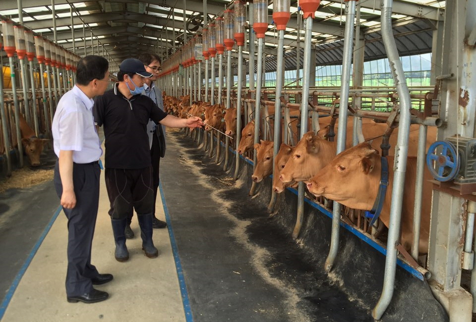 당진시, 축산분야 ICT 연계 스마트팜 추진